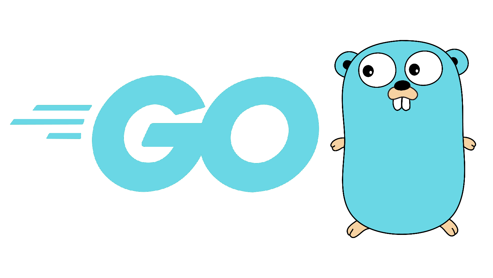 Imagen relacionada con Golang y certificados SSL